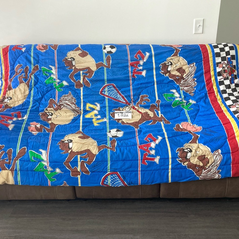 Taz Looney Toons Comforter | Full Size | Great Condition